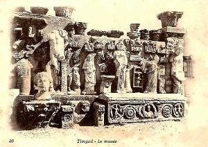Timgad 144
